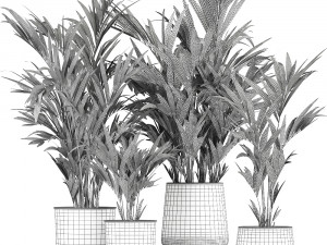 collection of decorative palms in pots 1090 Modèle 3D