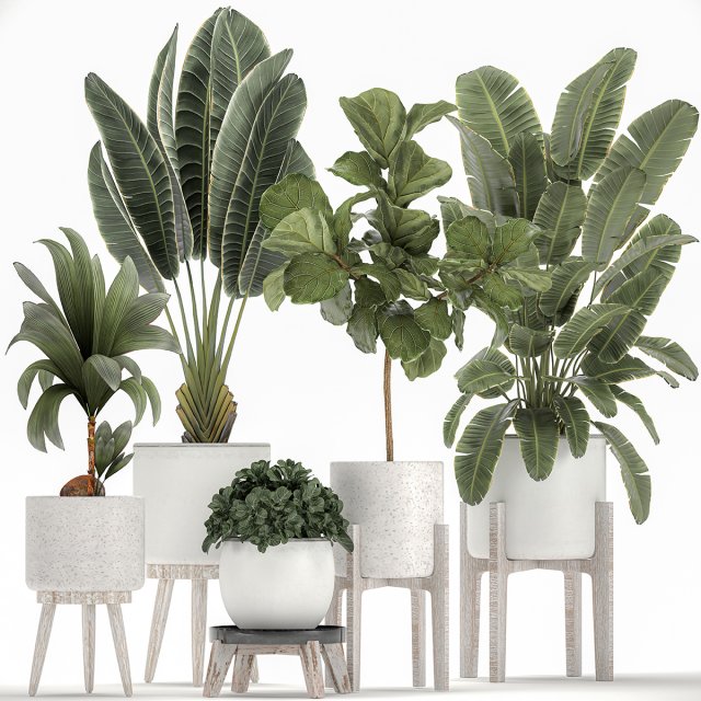 plants in a white flowerpot for the interior 1091 3D Model .c4d .max .obj .3ds .fbx .stl .blend 