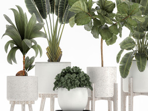 plants in a white flowerpot for the interior 1091 3D Model