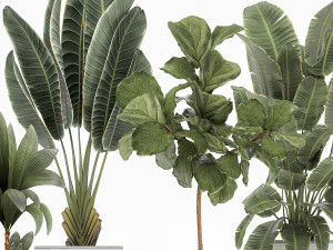 plants in a white flowerpot for the interior 1091 3D Model