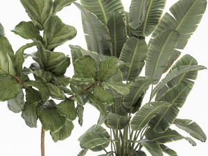 plants in a white flowerpot for the interior 1091 3D Model