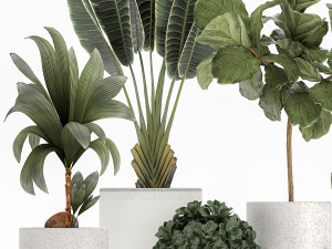 plants in a white flowerpot for the interior 1091 3D Model