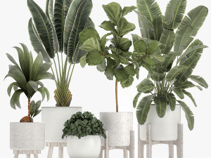 plants in a white flowerpot for the interior 1091 3D Model