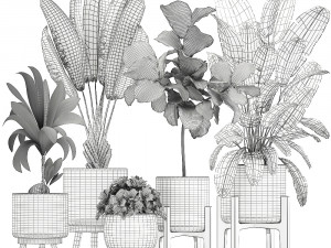 plants in a white flowerpot for the interior 1091 3D Model