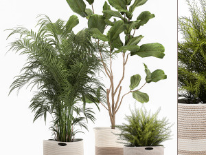 ornamental plants in fabric baskets for decoration 1092 3D Model