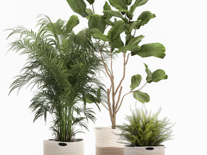 ornamental plants in fabric baskets for decoration 1092 3D Model