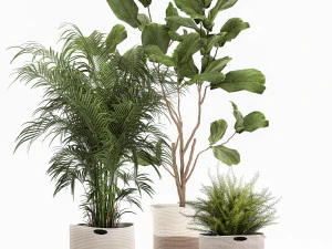 plantas ornamentais em cestos de tecido para decora&ccedil;&atilde;o 1092 Modelo 3D