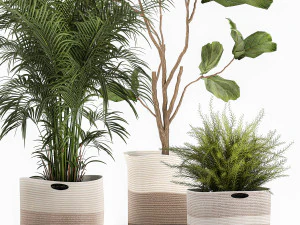 plantas ornamentais em cestos de tecido para decora&ccedil;&atilde;o 1092 Modelo 3D