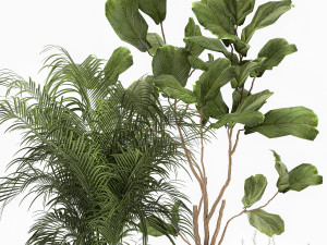 ornamental plants in fabric baskets for decoration 1092 3D Model