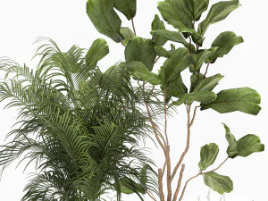 plantas ornamentais em cestos de tecido para decora&ccedil;&atilde;o 1092 Modelo 3D