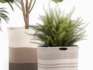 ornamental plants in fabric baskets for decoration 1092 3D Model