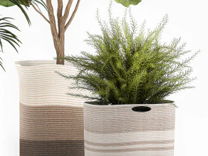 plantas ornamentais em cestos de tecido para decora&ccedil;&atilde;o 1092 Modelo 3D