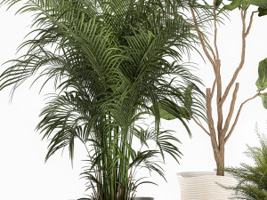 ornamental plants in fabric baskets for decoration 1092 3D Model