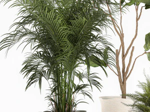 plantas ornamentais em cestos de tecido para decora&ccedil;&atilde;o 1092 Modelo 3D