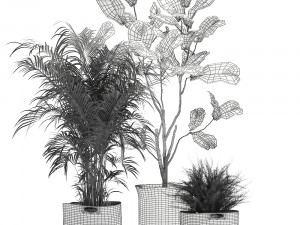 ornamental plants in fabric baskets for decoration 1092 3D Model