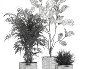 plantas ornamentais em cestos de tecido para decora&ccedil;&atilde;o 1092 Modelo 3D