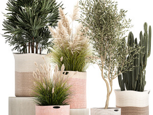 ornamental plants in fabric baskets for decoration 1093 3D Model
