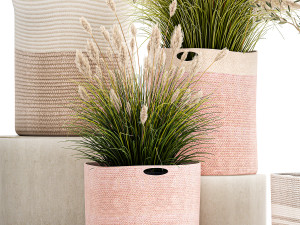 ornamental plants in fabric baskets for decoration 1093 3D Model