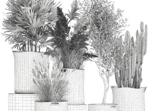 ornamental plants in fabric baskets for decoration 1093 3D Model