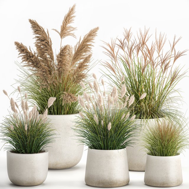 reeds in a concrete flowerpot for the interior 1094 3D Model .c4d .max .obj .3ds .fbx .stl .blend 