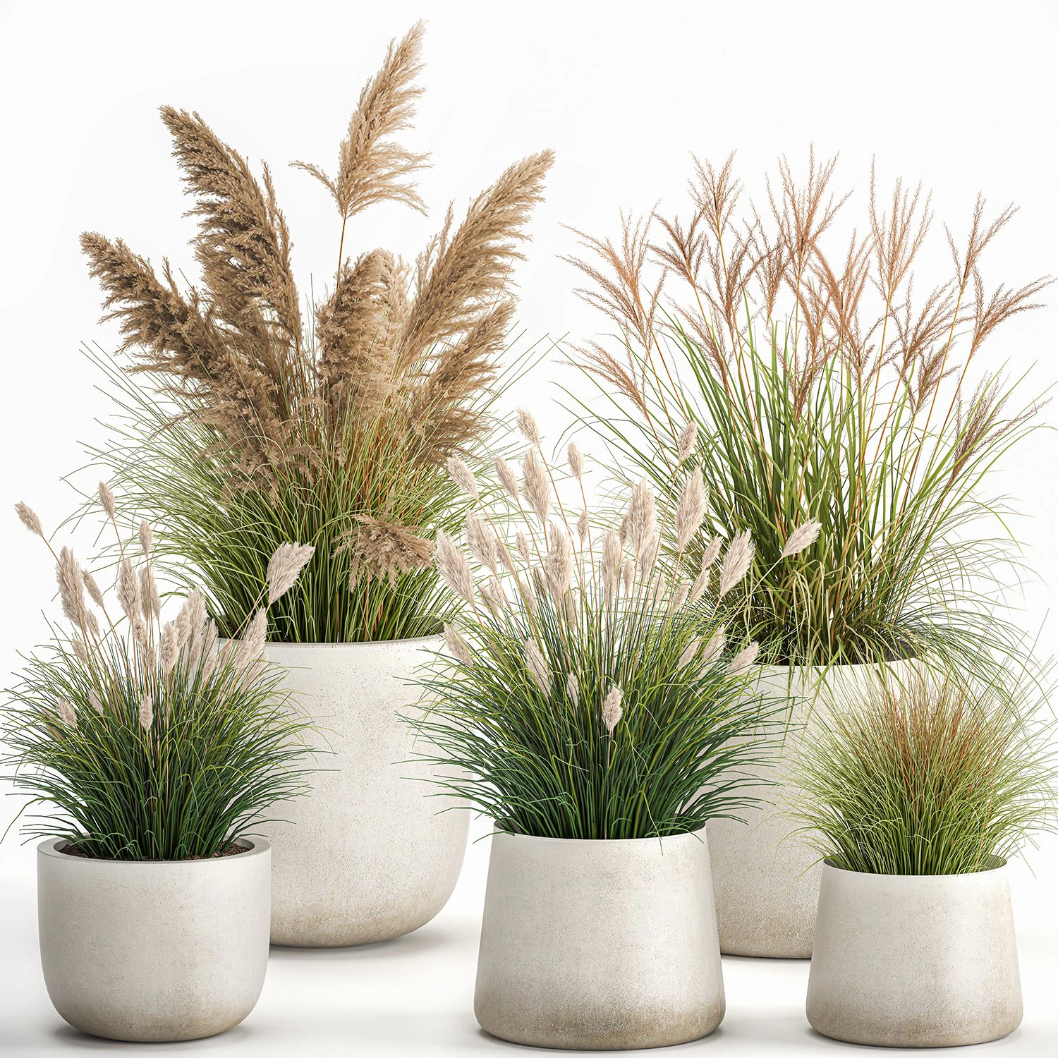 reeds in a concrete flowerpot for the interior 1094 3D Model .c4d .max .obj .3ds .fbx .stl .blend 