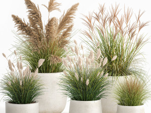 reeds in a concrete flowerpot for the interior 1094 3D Models
