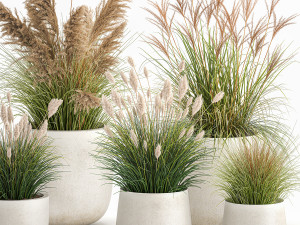reeds in a concrete flowerpot for the interior 1094 3D Model
