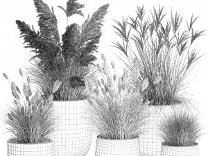 reeds in a concrete flowerpot for the interior 1094 3D Model