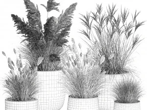 reeds in a concrete flowerpot for the interior 1094 3D Model