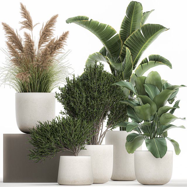 plants in a white flowerpot for the interior 1095 3D Модель .c4d .max .obj .3ds .fbx .stl .blend 