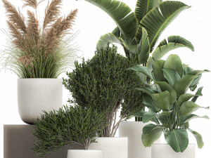 plants in a white flowerpot for the interior 1095 3D Model