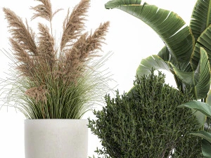 plants in a white flowerpot for the interior 1095 3D Model