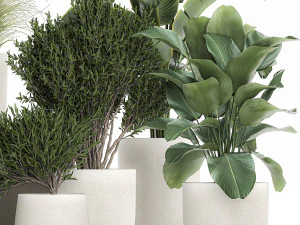 plants in a white flowerpot for the interior 1095 3D Model