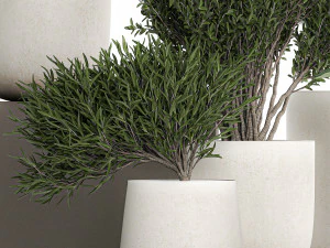 plants in a white flowerpot for the interior 1095 3D Model