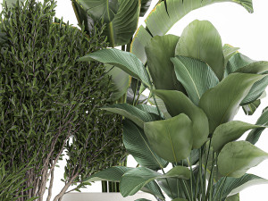 plants in a white flowerpot for the interior 1095 3D Модель