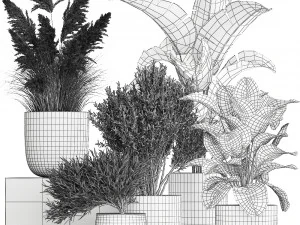 plants in a white flowerpot for the interior 1095 3D Model