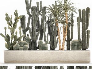 cactus set in a concrete flowerpot for the interior 1096 3D Model