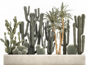 cactus set in a concrete flowerpot for the interior 1096 Modello 3D