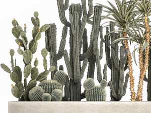 cactus set in a concrete flowerpot for the interior 1096 Modello 3D