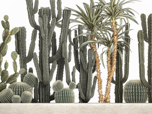cactus set in a concrete flowerpot for the interior 1096 Modello 3D