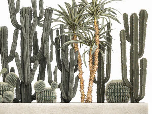 cactus set in a concrete flowerpot for the interior 1096 3D Model