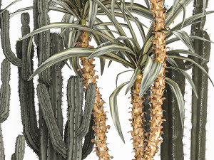 cactus set in a concrete flowerpot for the interior 1096 Modello 3D
