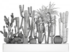 cactus set in a concrete flowerpot for the interior 1096 Modello 3D