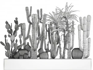 cactus set in a concrete flowerpot for the interior 1096 3D Model