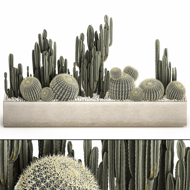 cactus set in a concrete flowerpot for the interior 1097 Modèle 3D .c4d .max .obj .3ds .fbx .stl .blend 