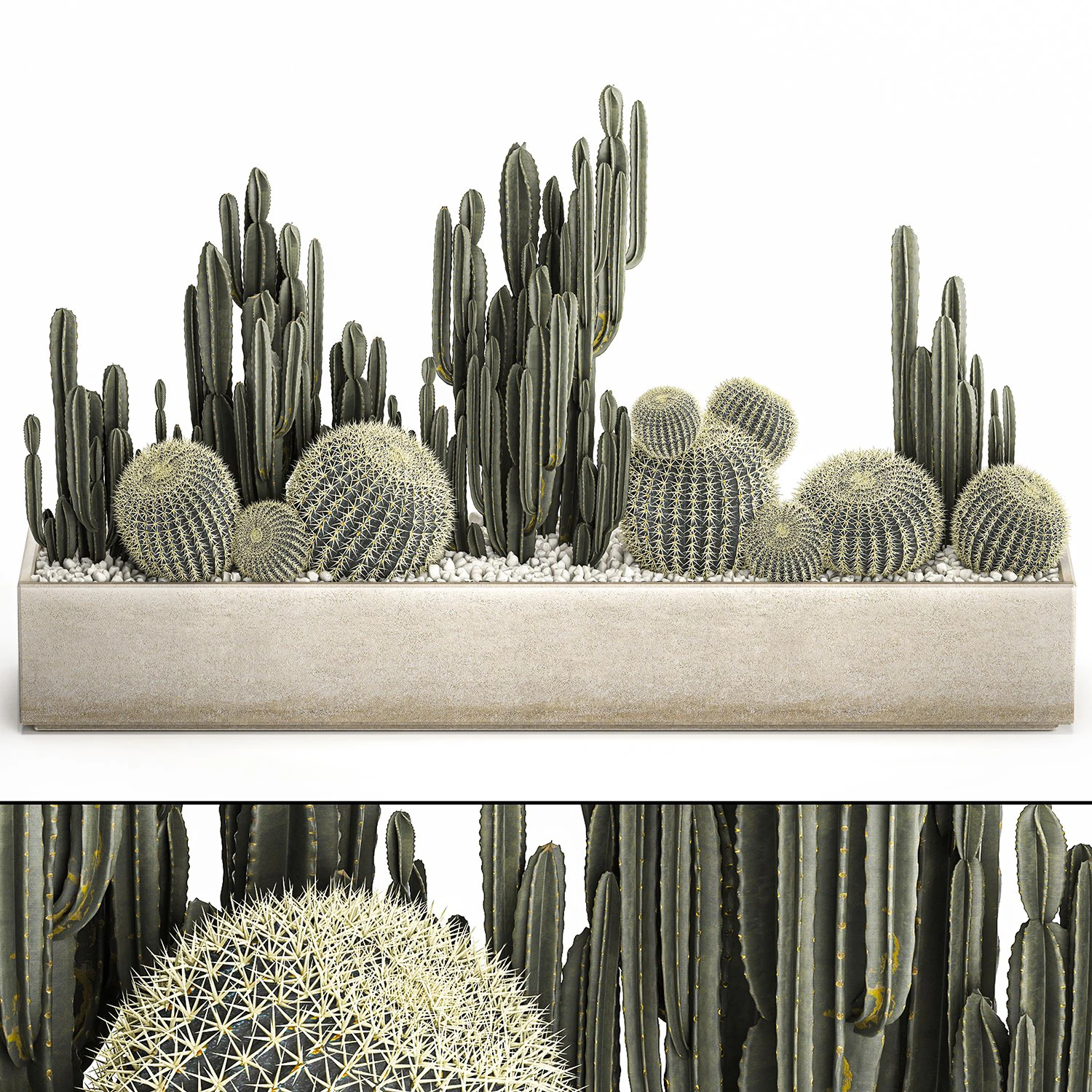 cactus set in a concrete flowerpot for the interior 1097 3D Model .c4d .max .obj .3ds .fbx .stl .blend 