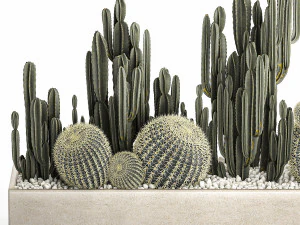 cactus set in a concrete flowerpot for the interior 1097 3D Model