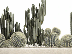 cactus set in a concrete flowerpot for the interior 1097 3D Model