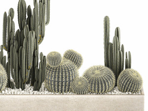 cactus set in a concrete flowerpot for the interior 1097 Modèle 3D