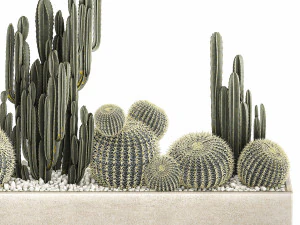 cactus set in a concrete flowerpot for the interior 1097 3D Model